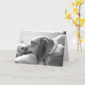 Carte Mlle vous (Fleur jaune)