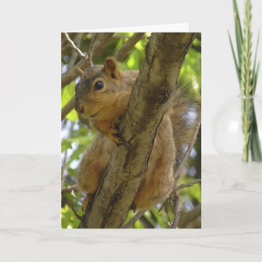 Carte Mlle Vous, Allons-Y Bientôt, Écureuil (Devant)