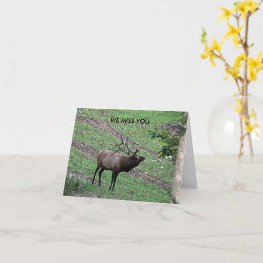 Carte Mlle You (Fleur jaune)