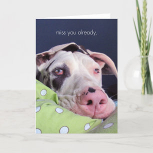 Carte Mlle You Already