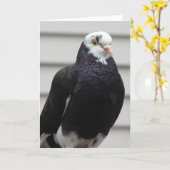 Carte Mme Pigeon (Fleur jaune)