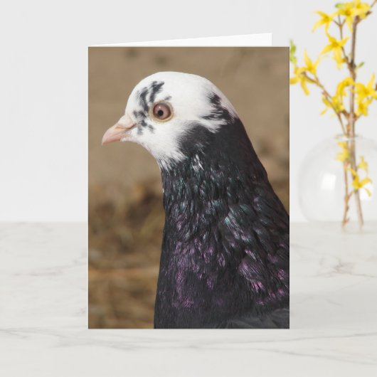Carte Mme Pigeon (Fleur jaune)