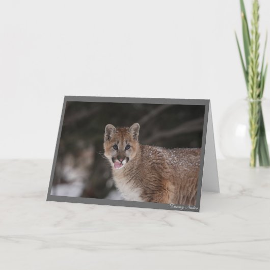 CARTE MMMMM ! ! (Devant)