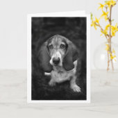 Carte mocca le basset (Fleur jaune)