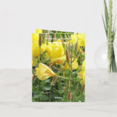 Carte modifiable du 69e anniversaire (Dos)