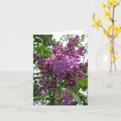 Carte "Moi de chez de lilas " (Fleur jaune)