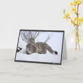 Carte Moi et mon copain (Fleur jaune)