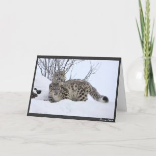 Carte Moi et mon copain