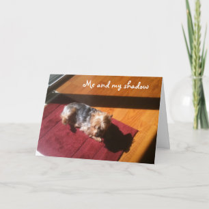 CARTE MOI/MON OMBRE SOUHAITE UN JOLI ANNIVERSAIRE