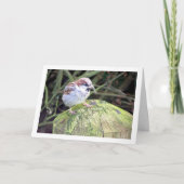 Carte Moineau domestique sur rondin (Devant)