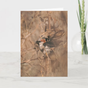Carte Moineau Oiseau Drôle de passionné d'ornithologie R
