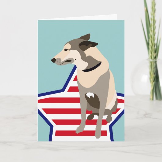 Carte Mojo le berger belge (Devant)