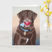 Carte Moka Cathcart (Fleur jaune)