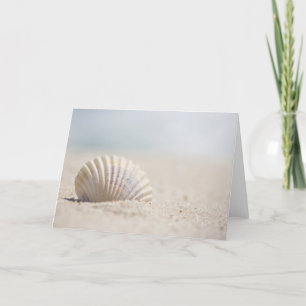 Carte Mollusk Seashell