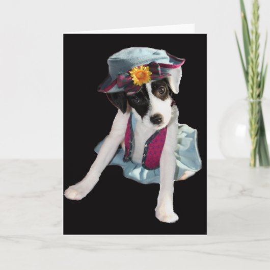 Carte Molly (Devant)