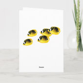 Carte Molokini Cove Hawaiian Tropical Fish Sea Turtle (Dos)