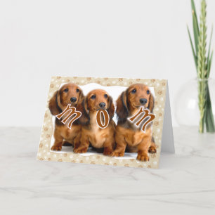 CARTE MOM DACHSHING