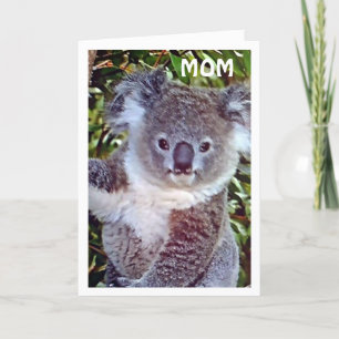 CARTE MOM="KOALA BANTHDAY GREETINGS" CÉLÉBRE VOTRE JOUR 