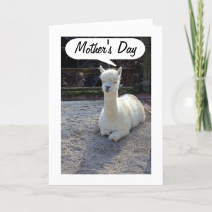 Carte MOM-LLAMA dit HAPPY MOTHERS DAY=AWESOMOMENT MOM