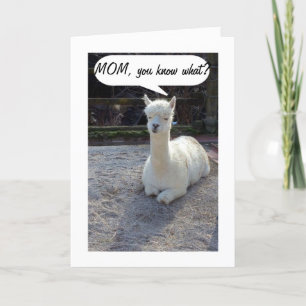 CARTE MOM-LLAMA DIT QUE PERSONNE N'A UN MEILLEUR DEUX FO