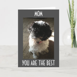CARTE MOM-SEULEMENT LE MEILLEUR POUR LE MEILLEUR ANNIVER