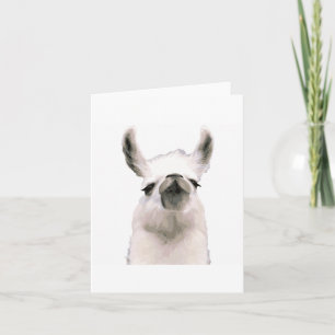 Carte Moma Llama