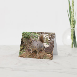 Carte Mon ami Fuzzy