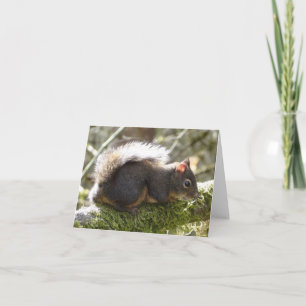 Carte Mon ami Fuzzy