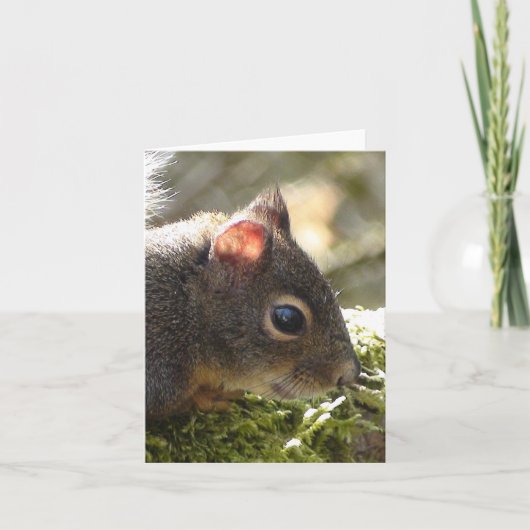 Carte Mon ami Fuzzy (Devant)