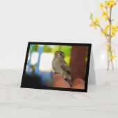Carte Mon ami moineau (Fleur jaune)