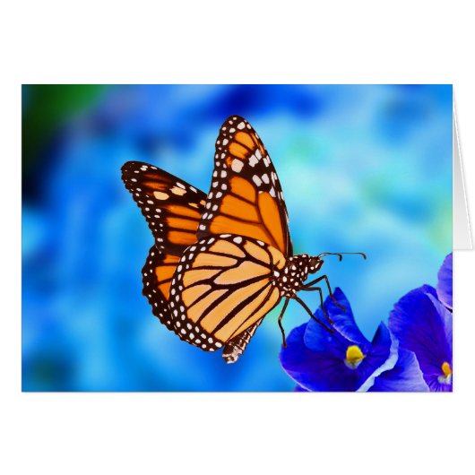 Carte Monarch Butterfly (Devant horizontal)