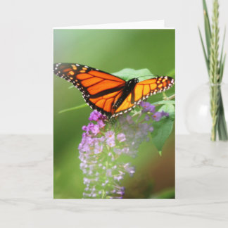 Carte Monarch Card-Customize !