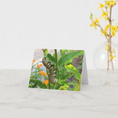 Carte Monarch Caterpillar (Fleur jaune)