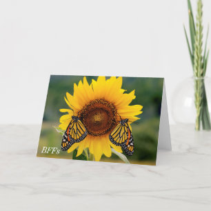 Carte Monarque Butterfies sur le tournesol