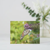 Carte Monarque papillon sur Buddleia pourpre (Debout devant)