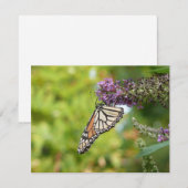 Carte Monarque papillon sur Buddleia pourpre (Devant / Derrière)