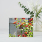 Carte Monarque papillon sur buisson papillon rouge (Debout devant)