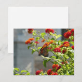 Carte Monarque papillon sur buisson papillon rouge (Devant / Derrière)