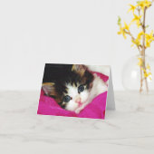 Carte Mondes Cutest Kitten (Fleur jaune)