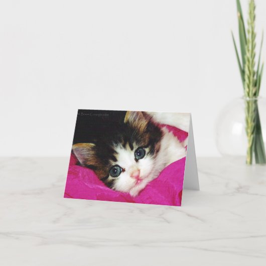 Carte Mondes Cutest Kitten (Devant)