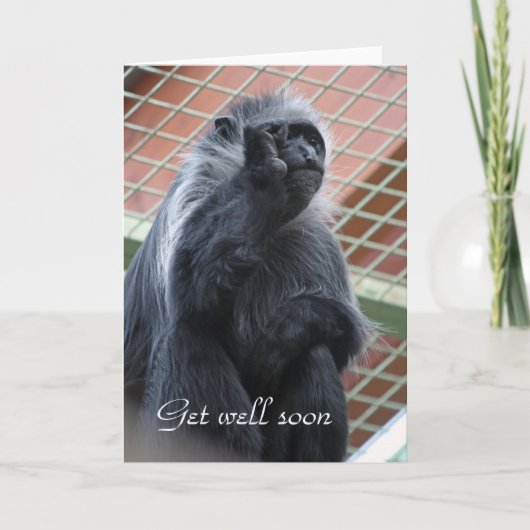 Carte Monkey get well soon (Devant)