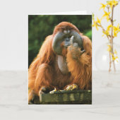 Carte Monkey-Orangutan - anniversaire (Fleur jaune)