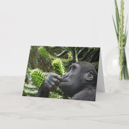 Carte Monkey Puzzle. (Devant)