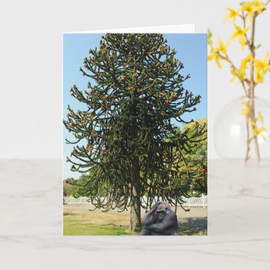 Carte Monkey Puzzle & Puzzled Gorilla. (Fleur jaune)