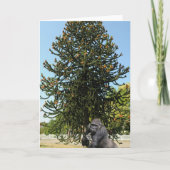 Carte Monkey Puzzle & Puzzled Gorilla. (Devant)