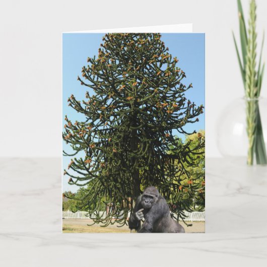 Carte Monkey Puzzle & Puzzled Gorilla. (Devant)