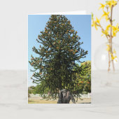 Carte Monkey Puzzle & Puzzled Gorilla. (Fleur jaune)