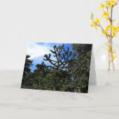 Carte Monkey Puzzle Tree #1 (Fleur jaune)