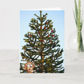 Carte Monkey Puzzled. (Devant)