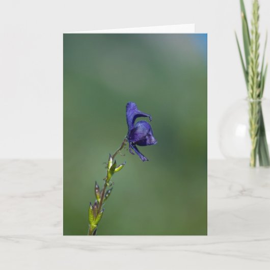 Carte Monk'shood1 (Devant)